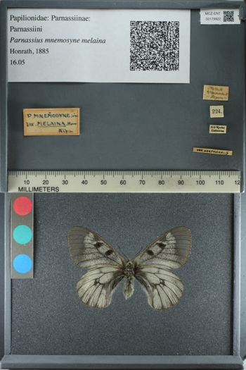 Media type: image;   Entomology 179922